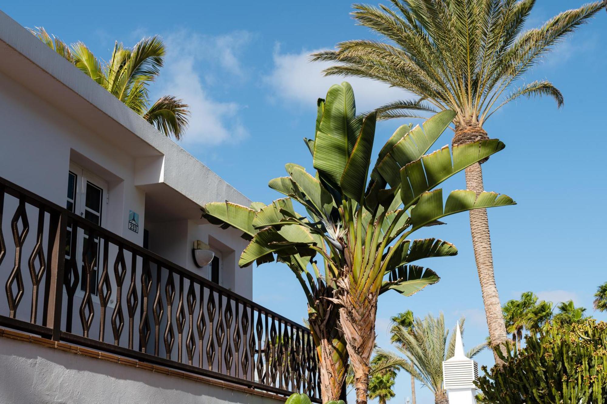 Apartamentos Fariones Puerto del Carmen  Exterior foto