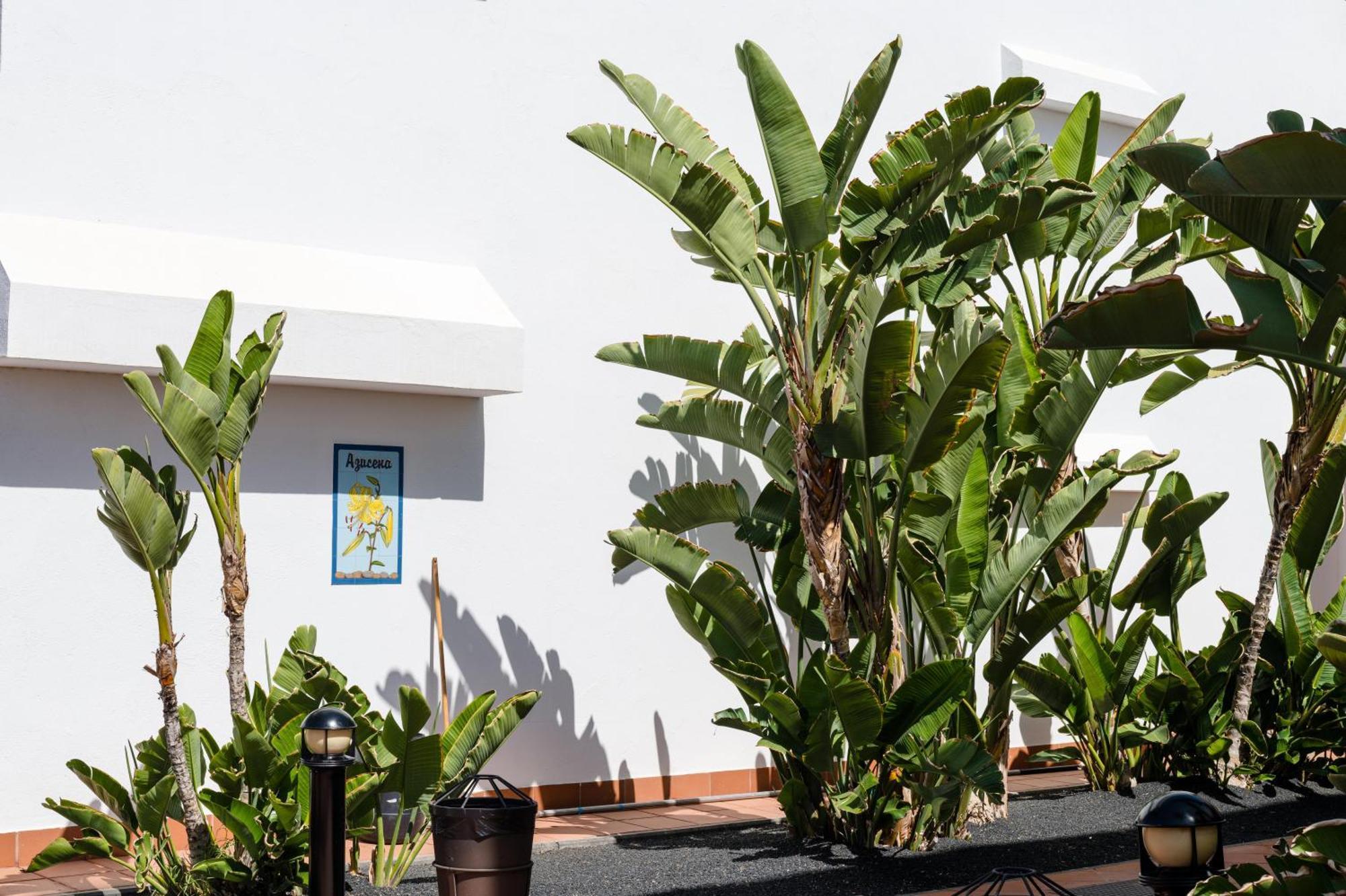 Apartamentos Fariones Puerto del Carmen  Exterior foto
