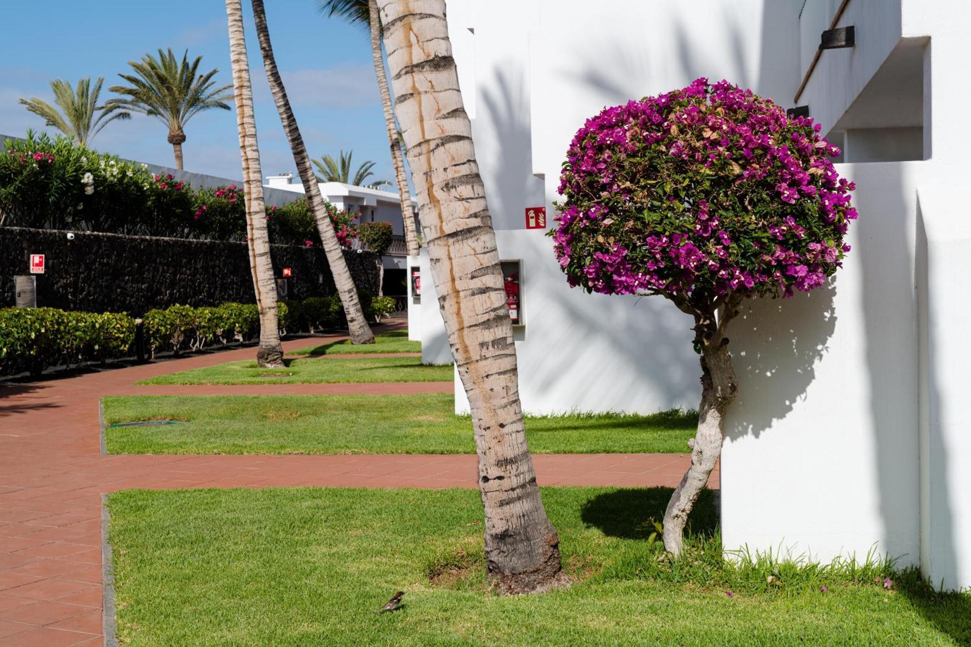 Apartamentos Fariones Puerto del Carmen  Exterior foto